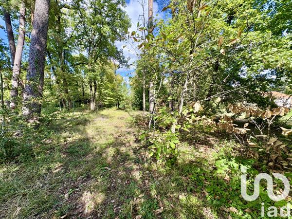 Terrain à vendre 1 212 m² Marsac-sur-l'Isle