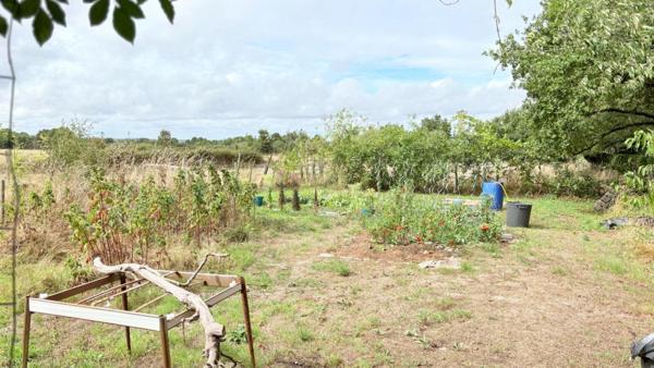 Maison 4 chambres avec véranda et jardin de 2 000 m²