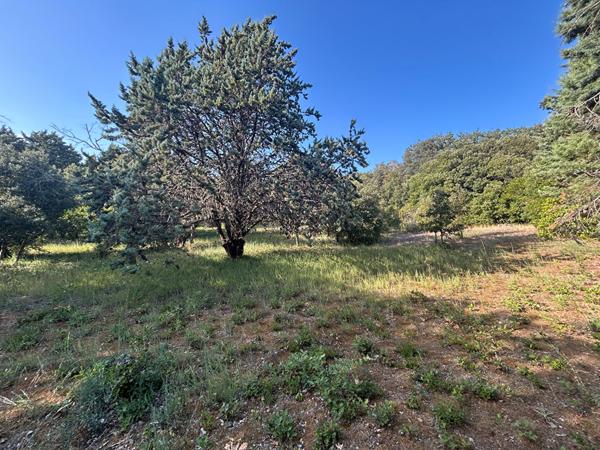 TERRAIN À BÂTIR DE 1 510 M² ? SUPERBE ENVIRONNEMENT ET VUE DÉGAGÉE