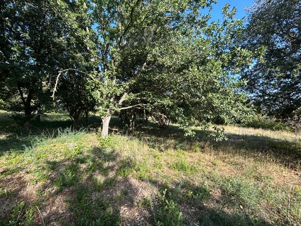 TERRAIN À BÂTIR DE 1 510 M² ? SUPERBE ENVIRONNEMENT ET VUE DÉGAGÉE