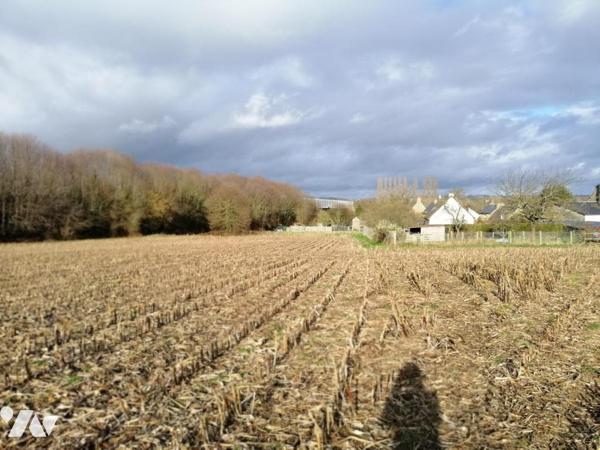 Terrain Constructible PONTAUBAULT