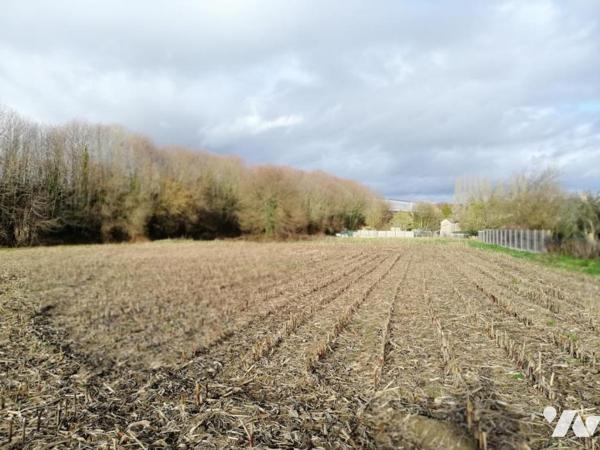 Terrain Constructible PONTAUBAULT