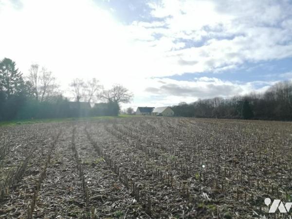 Terrain Constructible PONTAUBAULT