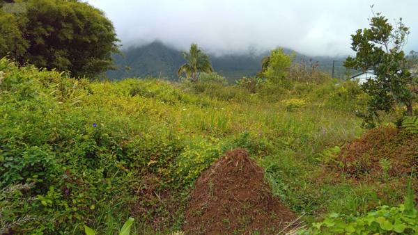 Terrain à Batir à vendre à La Plaine-des-Palmistes à la Réunion (97431), ref :