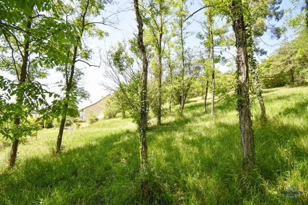 Maison à vendre 5 pièces MONTHOU SUR CHER (41)