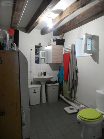 Maison rurale à louer à Nogent-le-Rotrou dans l'Eure-et-Loir (28400), ref : 6PLG