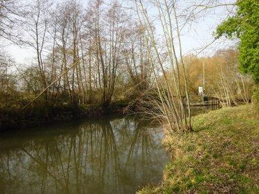 Bois à vendre à Nogent-le-Rotrou dans l'Eure-et-Loir (28400), ref : NOG 1039