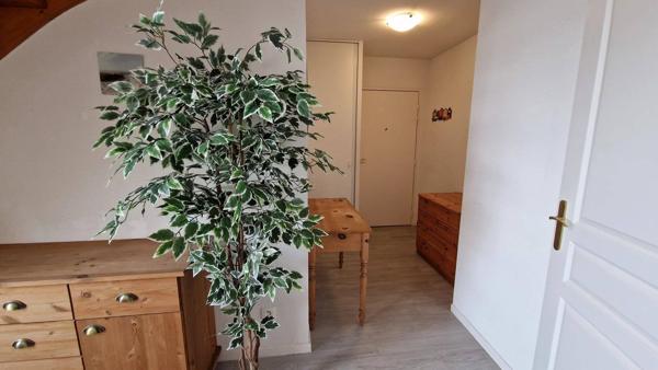 Duplex 3 chambres terrasse et balcon