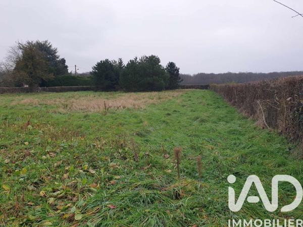 Terrain à vendre 2 784 m² Beaumont-le-Roger