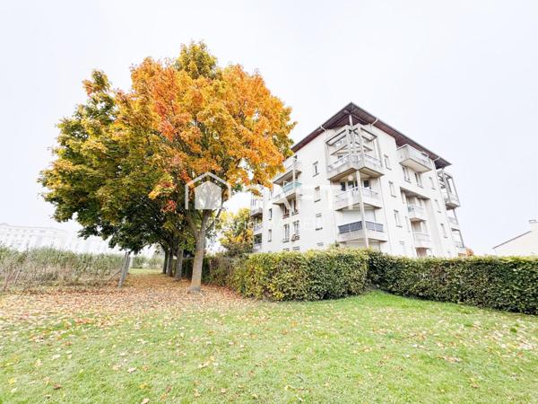 Grand jardin privatif d'environ 200 M²