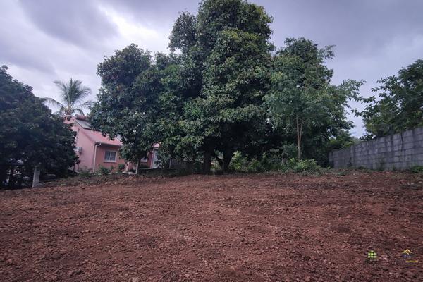 Terrain - 473 m²