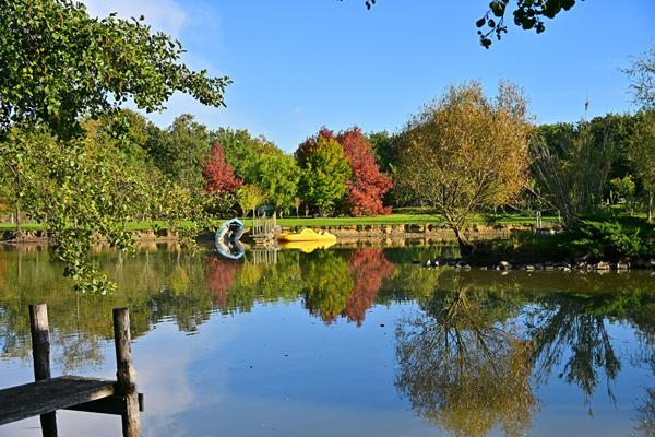 Terrain de loisir avec étang ! Calme, nature et autonomie