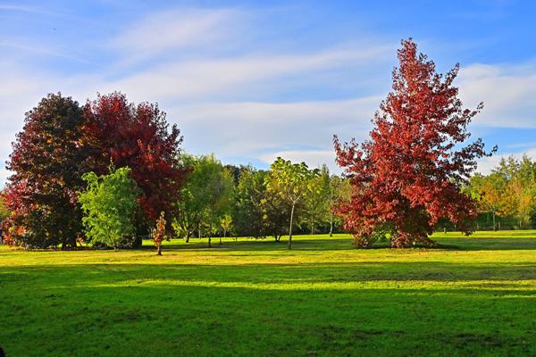 Terrain de loisir avec étang ! Calme, nature et autonomie
