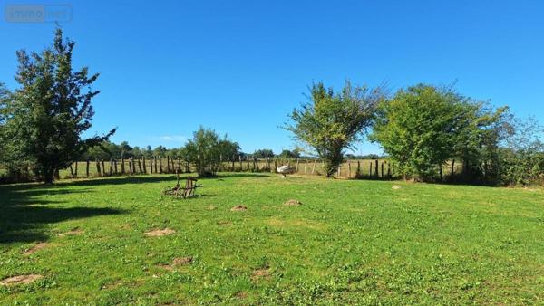 Maison à vendre à Romenay en Saône-et-Loire (71470), ref : 01018-424