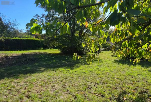 Achat - Terrain à bâtir Crozon 29160 1002 m 2