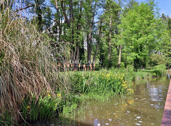 A vendre, proche de Verneuil-sur-Avre, moulin du 18ème siècle et son parc de 5 hectares