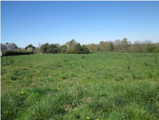 Terrain
        
        - 349 m² 83 900 € *
