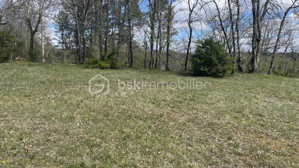 Terrain avec permis de construire en cours de validité.

Dans un environnement campagne et résidentiel, beau terrain de 2500m2 dont 1600m2 constructible avec un permis de construire en cours de validité et purgé de tout recours.
L’étude de sol a été effectuée et les raccordements eau, électricité et fibre, se trouvent en bordure de la parcelle. Prévoir un assainissement individuel.
Idéalement situé hors lotissement mais non isolé, ce terrain bénéficie d'une belle luminosité tout au long de la journée. Il offre un cadre de vie calme et serein, loin des nuisances sonores, de plus, vous serez le dernier à construire car cette zone est passée Naturelle.
Ne manquez pas cette occasion d'acquérir ce terrain avec une partie boisé. 
Contactez-moi dès aujourd'hui pour organiser une visite et vous présenter tous les documents concernant le projet en cours.
Visite possible 7/7. Contact : 06 98 99 98 40.

land with construction permit valid.

In a rural and residential environment, beautiful plot of 2500m2 including 1600m2 constructible with a building permit valid and purged of any recourse.
The soil study has been carried out and the water, electricity, and fiber connections are located at the edge of the plot. Plan for individual sanitation.
Ideally located outside subdivision but not isolated, this land enjoys a beautiful light throughout the day. It offers a calm and serene living environment, far from noise pollution, moreover, you will be the last to build because this area has become Natural.
Do not miss this opportunity to acquire this land with a wooded area. 
Contact me today to arrange a visit and present you all the documents regarding the ongoing project.
Visit possible 7/7. Contact: 06 98 99 98 40.
