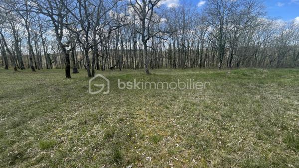 Terrain avec permis de construire en cours de validité.

Dans un environnement campagne et résidentiel, beau terrain de 2500m2 dont 1600m2 constructible avec un permis de construire en cours de validité et purgé de tout recours.
L’étude de sol a été effectuée et les raccordements eau, électricité et fibre, se trouvent en bordure de la parcelle. Prévoir un assainissement individuel.
Idéalement situé hors lotissement mais non isolé, ce terrain bénéficie d'une belle luminosité tout au long de la journée. Il offre un cadre de vie calme et serein, loin des nuisances sonores, de plus, vous serez le dernier à construire car cette zone est passée Naturelle.
Ne manquez pas cette occasion d'acquérir ce terrain avec une partie boisé. 
Contactez-moi dès aujourd'hui pour organiser une visite et vous présenter tous les documents concernant le projet en cours.
Visite possible 7/7. Contact : 06 98 99 98 40.

land with construction permit valid.

In a rural and residential environment, beautiful plot of 2500m2 including 1600m2 constructible with a building permit valid and purged of any recourse.
The soil study has been carried out and the water, electricity, and fiber connections are located at the edge of the plot. Plan for individual sanitation.
Ideally located outside subdivision but not isolated, this land enjoys a beautiful light throughout the day. It offers a calm and serene living environment, far from noise pollution, moreover, you will be the last to build because this area has become Natural.
Do not miss this opportunity to acquire this land with a wooded area. 
Contact me today to arrange a visit and present you all the documents regarding the ongoing project.
Visit possible 7/7. Contact: 06 98 99 98 40.