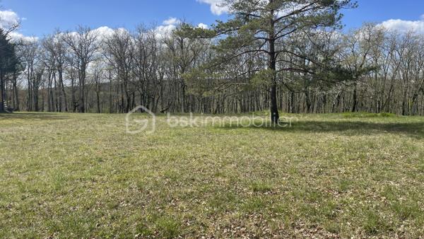 Terrain avec permis de construire en cours de validité.

Dans un environnement campagne et résidentiel, beau terrain de 2500m2 dont 1600m2 constructible avec un permis de construire en cours de validité et purgé de tout recours.
L’étude de sol a été effectuée et les raccordements eau, électricité et fibre, se trouvent en bordure de la parcelle. Prévoir un assainissement individuel.
Idéalement situé hors lotissement mais non isolé, ce terrain bénéficie d'une belle luminosité tout au long de la journée. Il offre un cadre de vie calme et serein, loin des nuisances sonores, de plus, vous serez le dernier à construire car cette zone est passée Naturelle.
Ne manquez pas cette occasion d'acquérir ce terrain avec une partie boisé. 
Contactez-moi dès aujourd'hui pour organiser une visite et vous présenter tous les documents concernant le projet en cours.
Visite possible 7/7. Contact : 06 98 99 98 40.

land with construction permit valid.

In a rural and residential environment, beautiful plot of 2500m2 including 1600m2 constructible with a building permit valid and purged of any recourse.
The soil study has been carried out and the water, electricity, and fiber connections are located at the edge of the plot. Plan for individual sanitation.
Ideally located outside subdivision but not isolated, this land enjoys a beautiful light throughout the day. It offers a calm and serene living environment, far from noise pollution, moreover, you will be the last to build because this area has become Natural.
Do not miss this opportunity to acquire this land with a wooded area. 
Contact me today to arrange a visit and present you all the documents regarding the ongoing project.
Visit possible 7/7. Contact: 06 98 99 98 40.