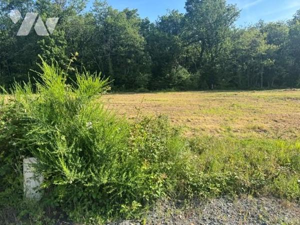 VENTE TERRAIN VERRIE