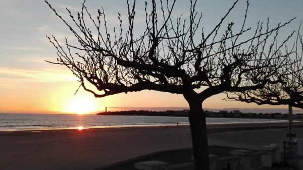 Appartement Saint Georges De Didonne 2 pièce(s) 31 m2