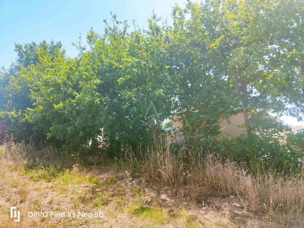 Maison contemporaine de plain-pied  état neuf  La Chapelle-dAligné