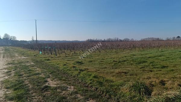 Domaine viticole MARTINET Jean-Claude