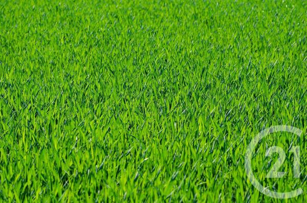 Terrain à vendre  429 m2 PLOUHA - 22