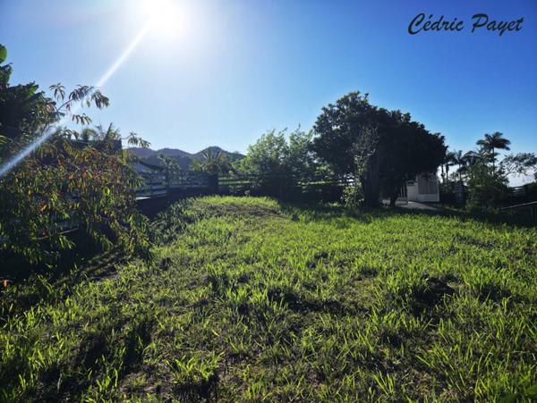 Terrain à vendre LES MAKES (97421)