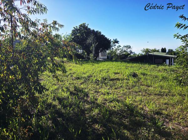 Terrain à vendre LES MAKES (97421)