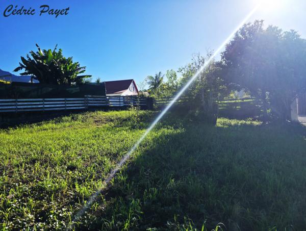 Terrain à vendre LES MAKES (97421)