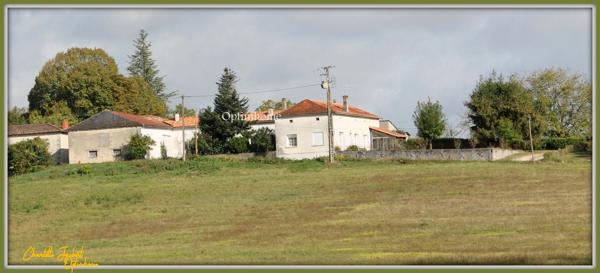 ensemble de 2 maisons en pierre + grange + grand terrain