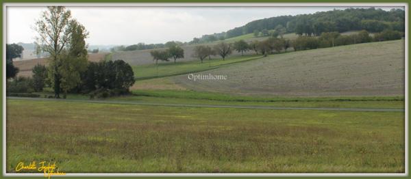 ensemble de 2 maisons en pierre + grange + grand terrain