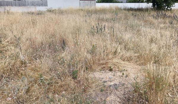 Terrain constructible de 911 m2 à Saint-Jean de Monts - 169600