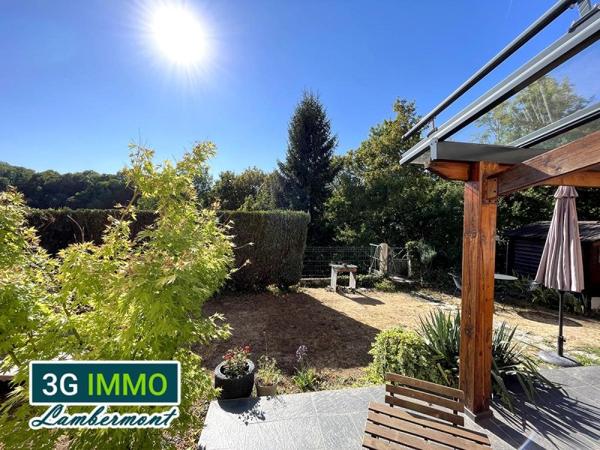 Vente / Maison à Longwy (54400)
