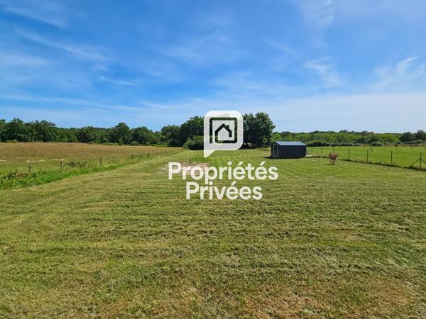 COUP DE COEUR : MAISON CONTEMPORAINE (2020) DPE A PROCHE BAZAS