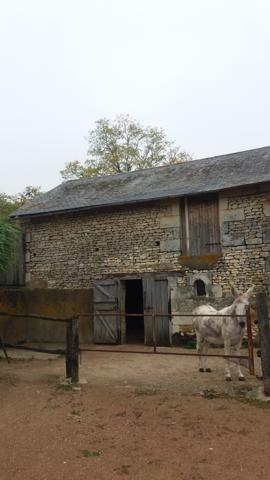Belle maison de campagne T7 sur un terrain de 16 200 M2