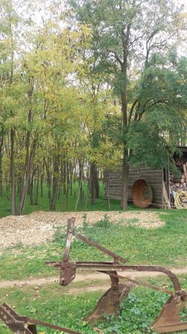 Belle maison de campagne T7 sur un terrain de 16 200 M2