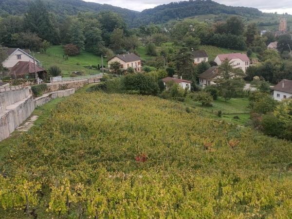 Joli terrain de 3014 m2 constructible à ARBOIS (JURA ) à 2 min  du centre