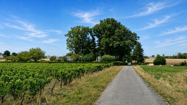 Maison à vendre à Parçay-Meslay (37210) - Indre-et-Loire