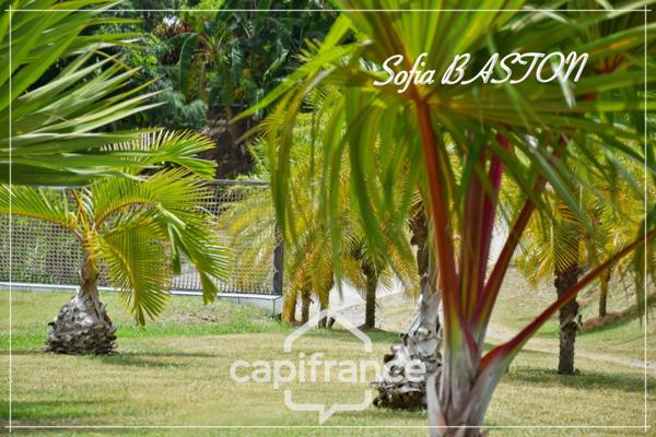 Villa d’exception au François (97240) – Maison contemporaine T5 + logement indépendant T3 – Vue mer & îlets – Piscine & jardin paysagé