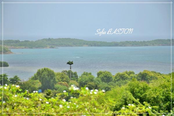 Villa d’exception au François (97240) – Maison contemporaine T5 + logement indépendant T3 – Vue mer & îlets – Piscine & jardin paysagé