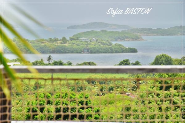 Villa d’exception au François (97240) – Maison contemporaine T5 + logement indépendant T3 – Vue mer & îlets – Piscine & jardin paysagé