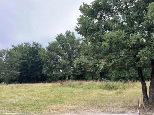 Terrain à vendre 33 000 € Nogaro 1331 m² DPE