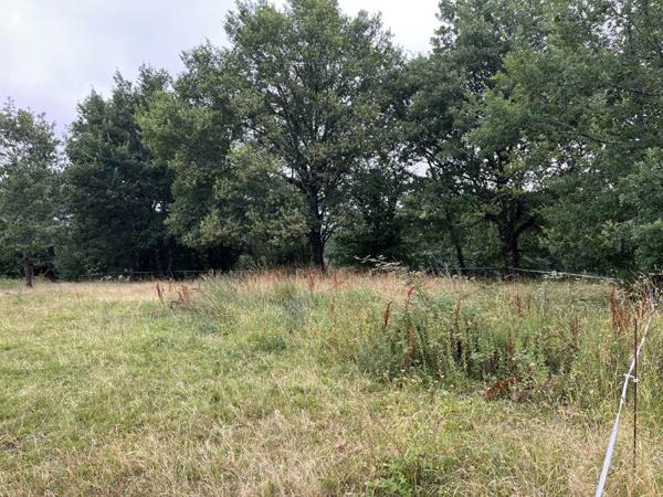 Terrain à vendre 33 000 € Nogaro 1331 m² DPE