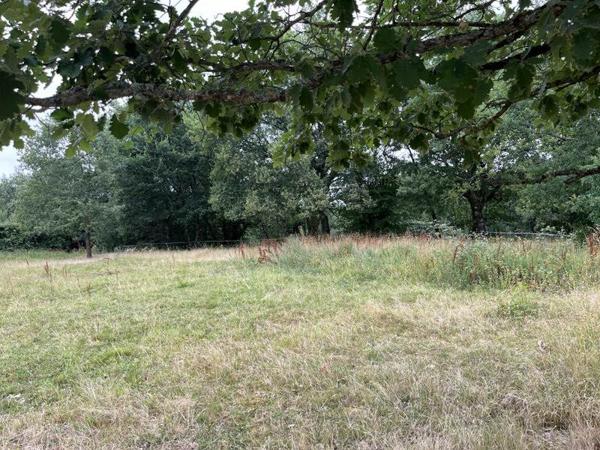 Terrain à vendre 33 000 € Nogaro 1331 m² DPE