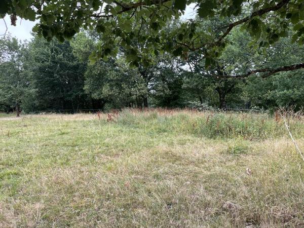 Terrain à vendre 33 000 € Nogaro 1331 m² DPE