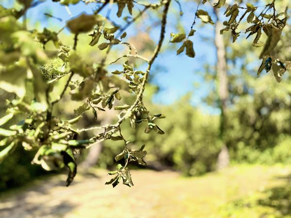 Maison 3 pièces - 60 m²