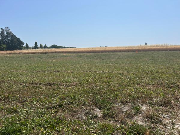 17113 MORNAC SUR SEUDRE MORNAC SUR SEUDRE